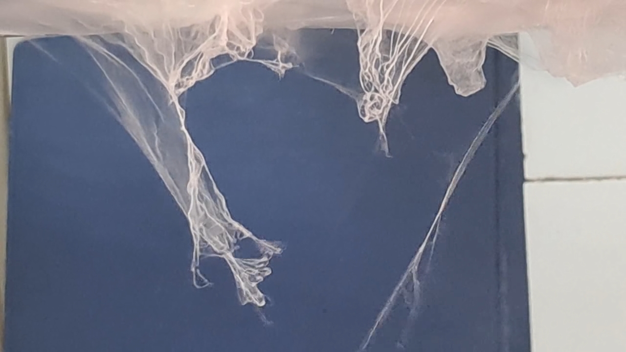 Electrospinning: Solutions of Polystyrene and Polyvinylidene Difluoride in Dimethylformamide